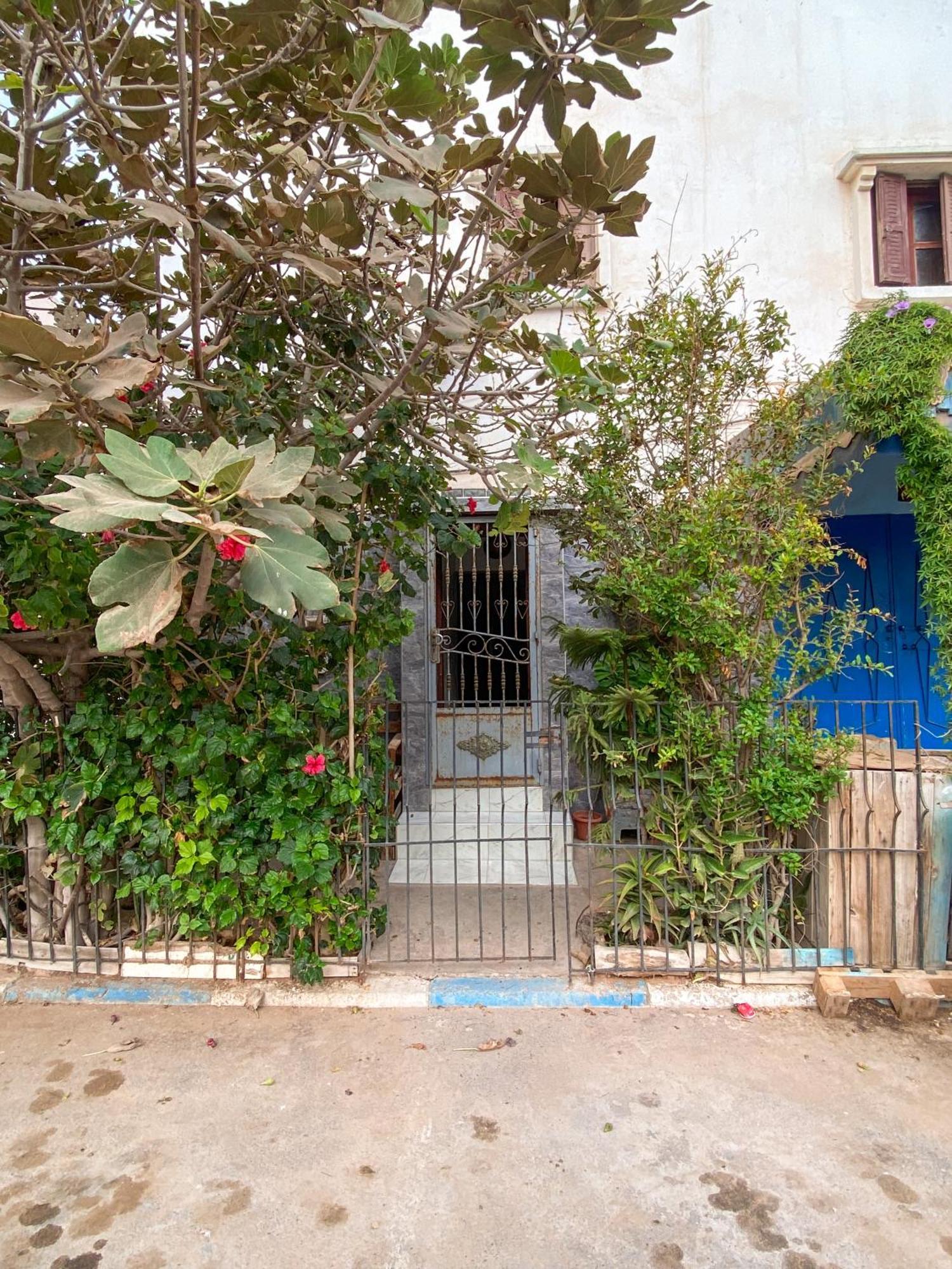 Dallas Private Surf Apartment Agadir Exteriör bild